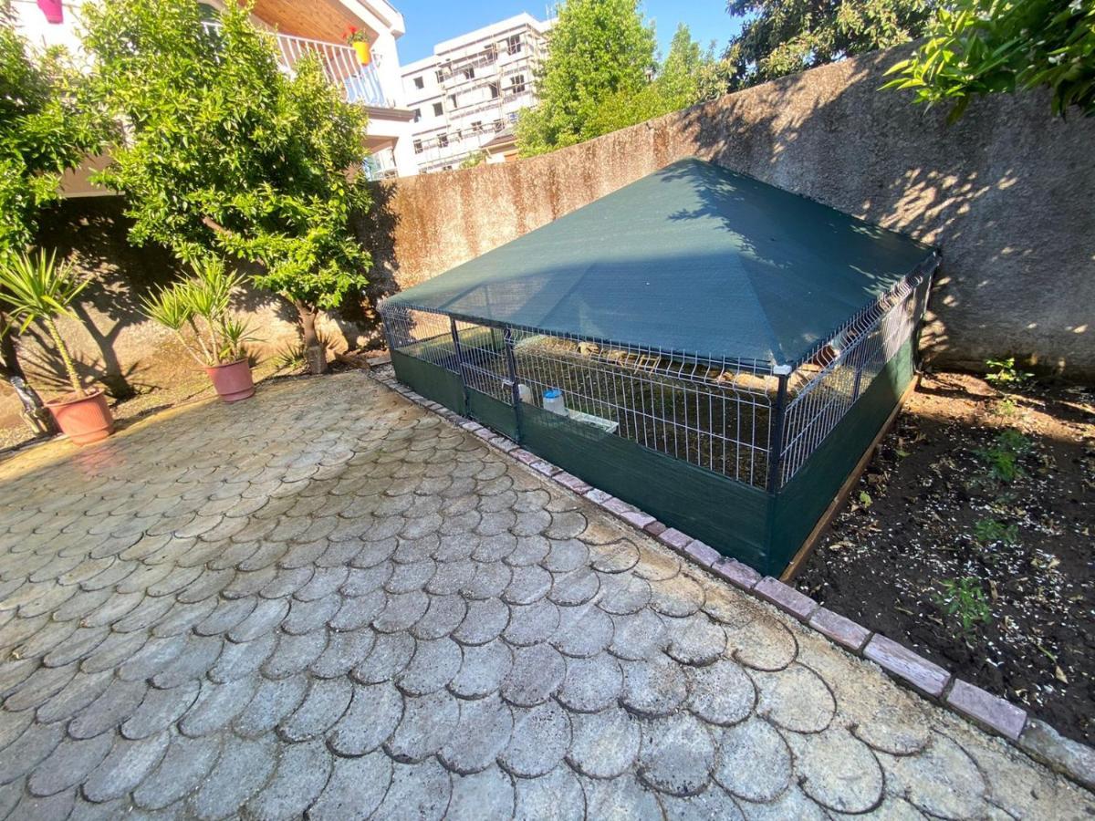 Gather Inn Guest House Shkoder Bagian luar foto