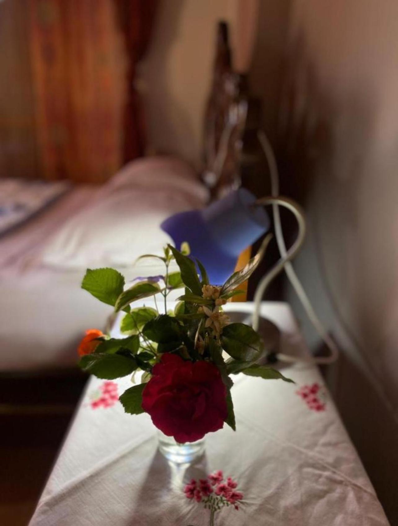 Gather Inn Guest House Shkoder Bagian luar foto